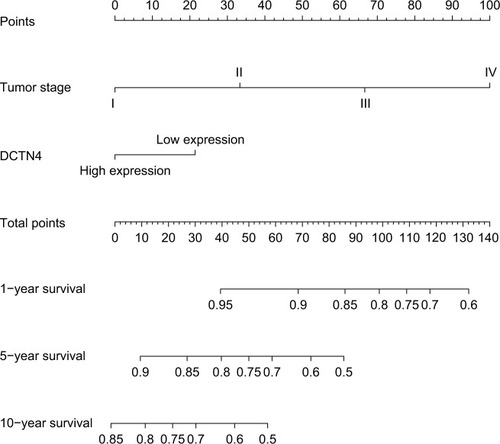 Figure 6 Nomogram for the relations hip between medical data and risk score.Abbreviation: DCTN, dynactin.