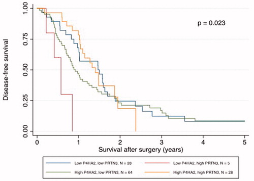 Figure 2. Disease-free survival curves by P4HA2 and PRTN3 expression status in patients with pancreatic cancer.