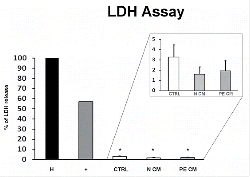 Figure 3. PDMSCs conditioned media effect on physiological term placental villous explants viability. Positive control (+) was provided by the kit. Explants treated by Triton X-100 and by unconditioned culture media for 8 h were used as high (H) and low controls respectively. Cytotoxicity in 72h supernatant of physiological villous explants treated with unconditioned media (CTRL) or media conditioned by normal (N CM) and preeclamptic (PE CM) PDMSCs was assessed by LDH assay. Statistical significance (*) has been considered as p < 0.05.