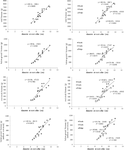 Figure 3. Relationship between diameter at root collar and below-ground biomass for the 13-year-old Pinus densiflora on different slope conditions.