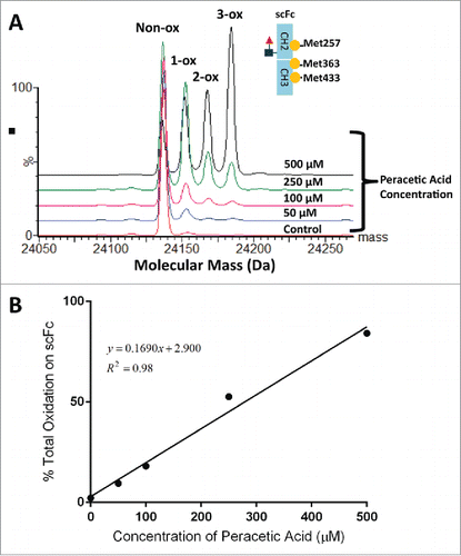 Figure 4. Overlaid deconvoluted mass spectra of the scFc subunit from mAb-A treated with different concentration of peracetic acid (A). To generate oxidized samples for analysis, mAb-A was incubated for 2 hr at 30°C with increasing concentrations of peracetic acid (0–500 µM). The sum of 1-ox, 2-ox and 3-ox species shown in panel A was plotted as a function of peracetic acid concentration (B).