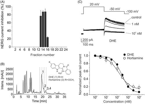 Figure 4. HPLC activity profiling of Evodia rutaecarpa MeOH extract. (A, B) HPLC chromatogram (204 nm) of a separation of 5 mg extract and inhibition of hERG tail currents by microfractions. Structures of active compounds dehydroevodiamine (DHE) (1) and hortiamine (3) are shown. (C) Currents through hERG channels expressed in HEK 293 cells in absence (control) and presence of increasing concentrations of DHE during 0.3 Hz pulse trains are shown above, together with the voltage protocol. Concentration dependent inhibition of potassium current by DHE and hortiamine during repeated pulsing at 0.3 Hz at a holding potential of –100 mV is shown below. Reprinted with permission from Baburin et al. (Citation2018).