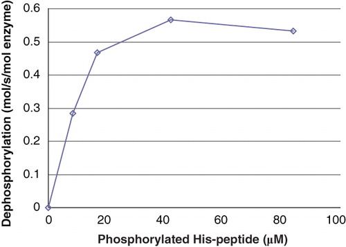Figure 3. Activity of PHPT1 as a function of phosphopeptide concentration. After phosphorylation of 2 mM Ac-Val-Arg-Leu-Lys-His-Arg-Lys-Leu-Arg-pNA, phosphoramidate was removed by centrifugation through DEAE-Sephacel as described in Material and methods and diluted. The concentration of phosphopeptide was determined in each sample. Purified PHPT1 (1 pmol) was added to each concentration, and dephosphorylation was performed at 30°C in duplicate for 4, 8, and 12 min for each concentration. The reaction was interrupted by centrifugation of 50 μL through a spin column containing 210 μL DEAE-Sephacel equilibrated in 25 mM Tris/HCl, pH 8.0. The phosphate in the final eluate was determined by malachite reagent and peptide by absorbance at 320 nm. Details are given in Material and methods. The initial rate for each phosphopeptide concentration was plotted as a function of phosphopeptide concentration. The experiment was repeated three times with similar results.