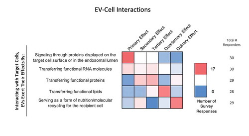 Figure 8. EV-cell interactions. In the post-workshop survey, participants were asked to rank order the most to least likely ways in which EVs interact with target cells. Answers are depicted in a heat map, with pink shades indicating a higher number of responders, and blue indicating a lower number of responders. Responders believe that EVs primarily interact with target cells by signalling through proteins displayed on the target-cell surface or endosomal lumen. Transferring functional RNA, proteins and lipids is seen as a secondary effect. Most believe that EVs are indirectly a form of nutrition or molecular recycling for recipient cells.