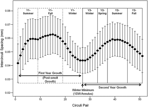FIGURE 2. Example of growth sections used in regression analysis based on mean intercirculi spacing (±SD) patterns from Atlantic Salmon scales collected from adults returning to Maine’s eastern rivers. Closely spaced circuli represent decreased growth during winter periods, while increased spacing represents increased growth during summer and fall seasons.