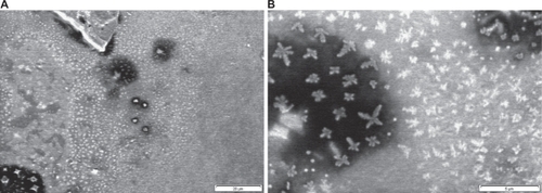 Figure 9 Scanning electron microscopy of grafted polystyrene under 40 KGy. A) Magnification 1000× (scale: 20 μm). B) Magnification 5000× (scale: 5 μm).