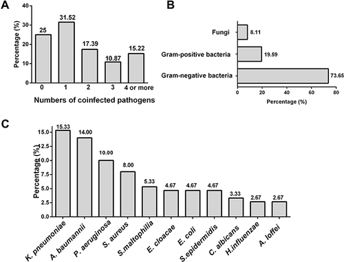 Figure 3 Concomitant pathogens with E. meningoseptica infections. (A) Distribution of the numbers of coinfected pathogens. (B) The composition of different types of concomitant pathogens. (C) Top 11 most common pathogens.