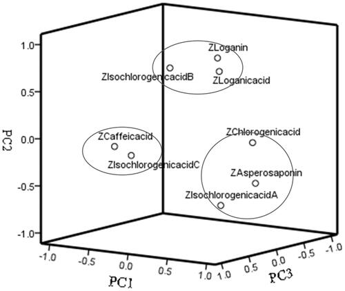 Figure 3. Principal component analysis (PCA) of Dipsaci Radix.