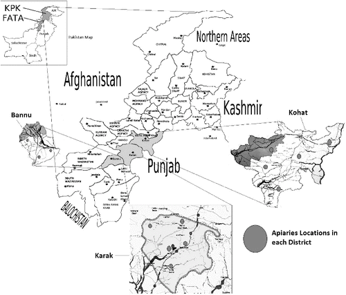Figure 1. Map of the study area. Source: Map data ©2015 AutoNavi, Basarsoft, Google, Mapa GISrael, ORION-ME, ZENRIN.LiteMode. Map data ©2015 Google
