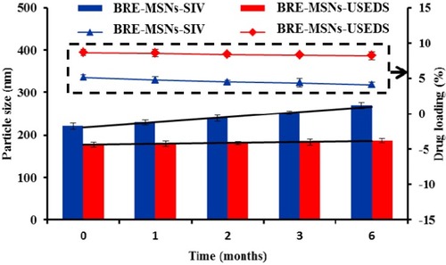 Figure 8 The accelerated stability studies for BRE-MSNs prepared by different methods.Abbreviations: BRE-MSNs, breviscapine-loaded mesoporous silica nanoparticles; BRE-MSNs-SIV, breviscapine-loaded mesoporous silica nanoparticles prepared by the solution impregnation-evaporation method; BRE-MSNs-USEDS, breviscapine-loaded mesoporous silica nanoparticles prepared by the ultrasound-assisted solution-enhanced dispersion by supercritical fluids.