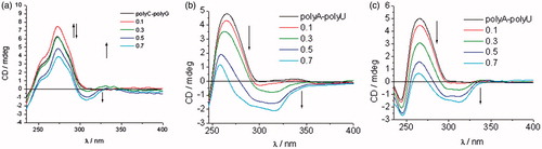 Figure 5. ICD spectra of RNA polynucleotides with 5-amidinobenzimidazoles with p-methoxyphenyl-1,2,3-triazole unit: compound 7b (a), compound 8b (b), and compound 9b (c).