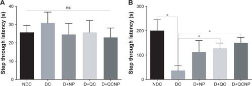 Figure 7 Effect of treatment with Fe3O4 NPs, QC, QC-Fe3O4 NPs (35 days) on passive avoidance performance. STL in the first acquisition trial (A) and STL in the retention test (B). Each value represents mean ± SEM of 7–8 animals. *P<0.05 vs diabetic control group (one-way ANOVA followed by Tukey’s test).Abbreviations: QC, quercetin; NP, nanoparticle; NDC, non-diabetic control; DC, diabetic control; D+NP, diabetic treated with nanoparticle; D+QC, diabetic treated with quercetin; D+QCNP, diabetic treated with quercetin nanoparticle; STL, step-through latency.