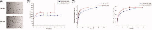 Figure 1. Characteristics of Sal-Doc NP. (A) Photos of Sal-Doc SE-NP and NR-NP under TEM; (B) Diameters of Sal-Doc SE-NP and NR-NP in 16 days; (C) Cumulative release of Sal and Doc respectively from Sal-Doc SE-NP and NR-NP. Sal = salinomycin; Doc = docetaxel; SE-NP: nanoparticles prepared by single emulsion method; NR-NP: nanoparticles prepared by nanoprecipitation method.