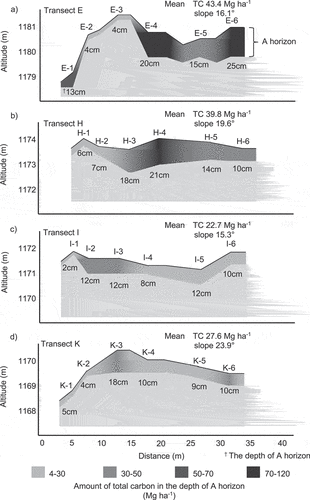 Figure 5. A cross sectional transect of the field in the west-east direction with the depth of a horizon and total C stock (TC).