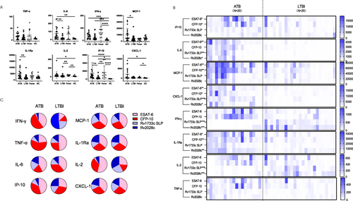 Figure 1 Cytokine/chemokines secretion in four groups with/without stimulation. (A) cytokine/chemokines secretion in four groups without stimulation. (B) Cytokine/chemokines secretion with virulence factors (ESAT-6 and CFP-10) and Mtb-latency-associated antigens (Rv2028c and Rv1733c SLP) in ATB and LTBI groups. (C) pie charts of individual concentrations of cytokines induced by virulence factor and latency-associated antigens in ATB and LTBI (the sum is set to 1). (*: p < 0.05, **: p < 0.01, ***: p < 0.001, ****: p < 0.0001).