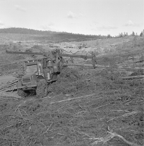 Figure 3. During the 1970s, harvesting with large forestry machines started, following earlier practices with chainsaw harvest. Clear-cuts were often >100 ha in size. Photo: SCA.