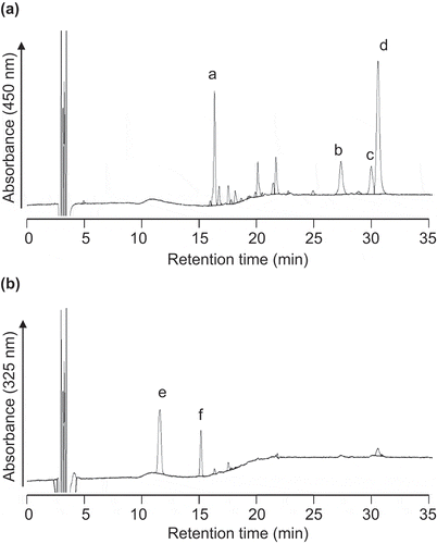 Figure 3. Typical chromatograms of human plasma extracts. Carotenoids (a) and retinoids (b) were analyzed by HPLC with a C18 column. Peak a, lutein; peak b, lycopene; peak c, α-carotene; peak d, β-carotene; peak e, retinol; peak f, retinyl acetate as an internal standard