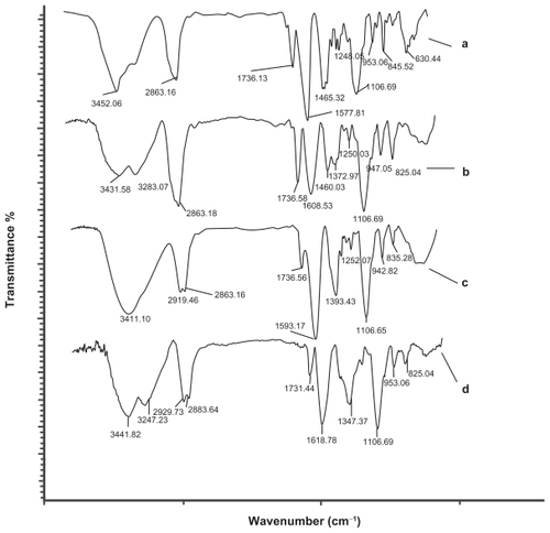 Figure 4 FT-IR spectra of the dendrimers before and after the reaction with cisplatin (CDDP). IR: (A) G1, (B) G1+Pt, (C) G2, (D) G2+Pt.Abbreviations: FTIR, Fourier transform infrared; IR, infra-red.