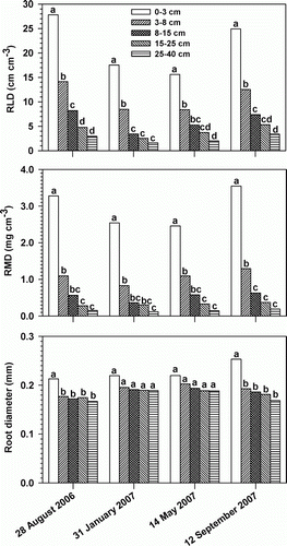 Figure 3.  Root length density (RLD), root mass density (RMD), and root diameter of warm season turfgrasses at five soil depths as affected by sampling date. Data were averaged over four grasses (three bermudagrass cultivars and a zoysiagrass) and three replicates. Within each date, different letters denote statistical differences according to Tukey's honestly significant difference test (p<0.05).