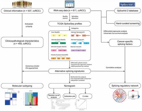 Figure 1. The flowchart for profiling the alternative splicing signatures in ccRCC patients in a relatively large-scale sequencing cohort