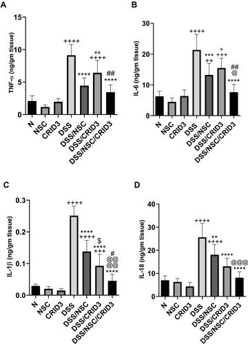 Figure 8 Effect on TNF-α, IL-6, IL-1β, and IL-18. Effect of NSC, CRID3 and NSC/CRID3 on (A), tumor necrosis factor alpha (TNF-α); (B), IL-6; (C), IL-1β and (D), IL-18. +P < 0.05 vs N, ++P < 0.01 vs N, +++P < 0.001 vs N, ++++P < 0.0001 vs N, *P < 0.05 vs DSS, **P < 0.01 vs DSS, ***P < 0.001 vs DSS, ****P < 0.0001 vs DSS, #P < 0.05 vs DSS/CRID3, ##P < 0.01 vs DSS/CRID3, @P < 0.05 vs DSS/NSC, @@@P < 0.001 vs DSS/NSC, @@@@P < 0.0001 vs DSS/NSC.