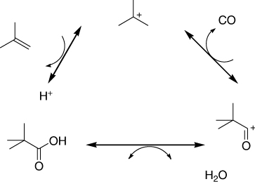 Scheme 34. Hydrocarboxylation of branched alkenes in the presence of CO, water, and homogeneous acid.
