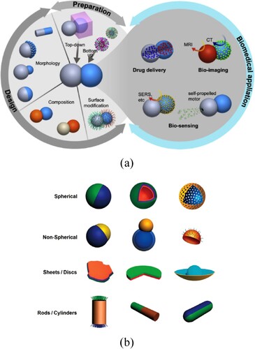 Figure 3. Anisotropic particle zones and examples of Janus particle shapes. From (a) H. Su, C.-A. Hurd Price, L. Jing, Q. Tian, J. Liu and K. Qian: Mats. Today Bio., 2019, 4, 100033 and (b) C. Zhang, F. Liang and Z. Yang: Design, synthesis, and application of anisotropic Janus particles’ Ch. 1 in ‘Soft, Hard, and Hybrid Janus Structures’, (eds. Z. Lin and B. Li) 1–30; 2017, World Scientific publishers. https://doi.org/10.1142/9781786343130_0001.