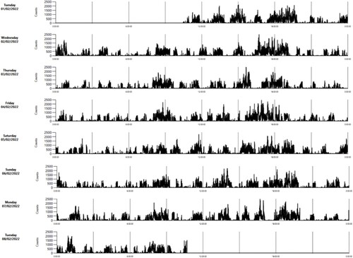 Figure 4. Example of an actogram of a lamb in the second week of life as rendered by ActiLife software (ActiGraph, LLC) (activity counts per 1 min intervals).