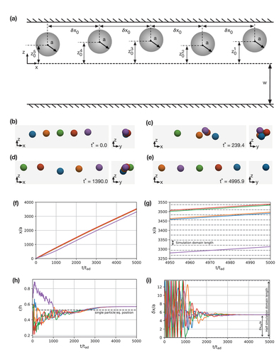 Figure 16. Example case 4: formation of a linear train of soft particles in a square duct. (a) 2D schematic. (b–e) Particle positions in the x-z (axial) and y-z (cross-sectional) planes at selected times. (f) Absolute axial position of each particle in time. (g) Zoomed-in section of (f) highlighting absolute axial position of each particle in time. (h) Distance of each particle from the channel centreline, r, in time. Note that migration occurs along both the y- and z-directions. (i) Inter-particle distances within the simulation domain in time. Line colour in (f–i) corresponds to particle colour in (b–e). Note that line colour in (i) refers to the leading particle in the pair.