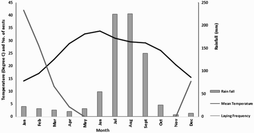 Figure 2. Mean temperature, monthly rainfall and Black Kite laying frequency in Delhi (weather data from India Meteorological Department Citation2013).