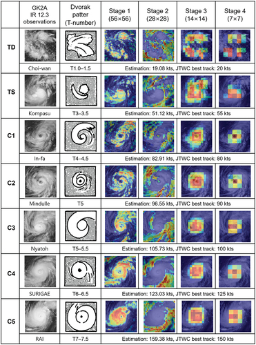 Figure 7. Comparison of Dvorak technique-based TC patterns and eigen-CAM activation regions for each model stage according to TC category. TD is the infrared image of typhoon choi-wan (05/29/2021 06:00 UTC), TS is typhoon Konpasu (10/11/2021 12:00 UTC), C1 is typhoon In-fa (07/22/2021 12: 00 UTC), C2 is typhoon mindulle (C2: 09/27/2021 12:00 UTC), C3 is typhoon nyatoh (12/02/2021 12:00 UTC), C4 is typhoon surigae (04/18/2021 12:00 UTC) and C5 is typhoon Rai (12/16/2021 00:00 UTC).