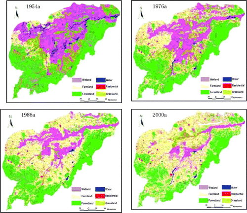 Figure 5.  Destruction of wetlands in central part of Sanjiang Plain, in N.E. China (after Zhang 2007).