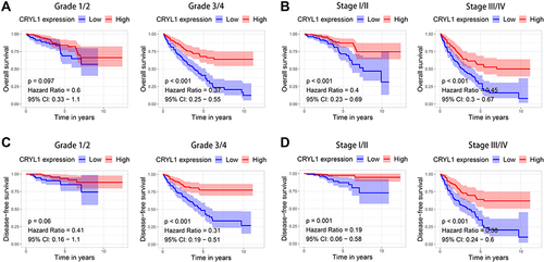 Figure 3 Stratified survival analysis of CRYL1 for overall survival (OS) and disease-free survival (DFS) according to histological grade and stage of ccRCC tumors. (A) Grade 1 or 2 and grade 3 or 4 for OS. (B) Stage I/II and stage III/IV for OS. (C) Grade 1 or 2 and grade 3 or 4 for DFS. (D) Stage I/II and stage III/IV for DFS.