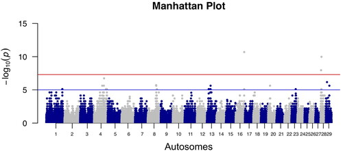 Figure 2. Graphical representation (Manhattan plot) of Genome Wide Association Study (GWAS) results. Horizontal lines represent the Bonferroni (red line) and the False Discovery Rate (FDR) (blue line) genome wide thresholds, both set at 0.05 significance value.