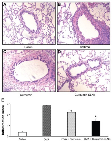 Figure 8 (A–D) Representative histological images of hematoxylin and eosin-stained tissue sections from rats treated with normal saline (saline); OVA-sensitized and OVA-challenged rats (OVA); OVA-sensitized and OVA-challenged rats + curcumin treatment (OVA + curcumin); OVA-challenged rats+curcumin-SLNs treatment (OVA + curcumin-SLNs). (E) Total lung inflammation scores.Note: #Indicates P < 0.05 compared to the OVA + curcumin group.Abbreviations: OVA, ovalbumin; SLNs, solid lipid nanoparticles.