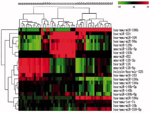 Figure 1. Hierarchical clustering of miRNA expression in a selected group of 54 AML patients utilizing 22 twofold differentially expressed miRNAs. MiRNA levels are shown as a heat map. (a) t(8;21); (b) inv(16): (c) t(15;17); (d) NK.