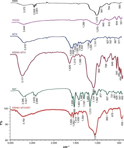 Figure 9 IR spectra of MSN, MSNN, MTX, MIT, MSNN−MTX/MIT, and MSNN−MTX.