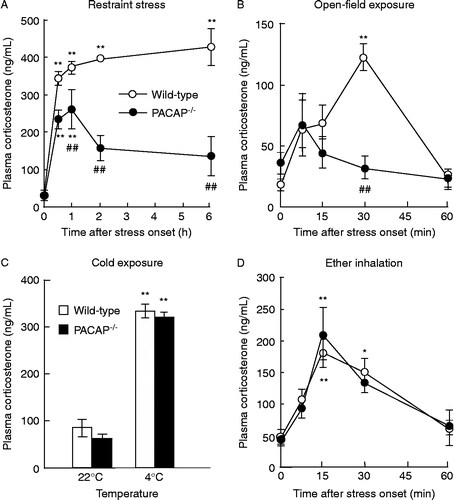 Figure 1.  Impairment of corticosterone response to restraint stress and open-field exposure in PACAP− / − mice. After restraint (A), open-field exposure (B), cold exposure (C), or ether-inhalation (D) stress, plasma corticosterone levels were determined in PACAP− / − (closed symbols) and wild-type (open symbols) mice (n = 3–8 per group). **P < 0.01 compared with time 0, except for (C), 22°C, in the same genotype; ##P < 0.01 compared with wild-type mice.