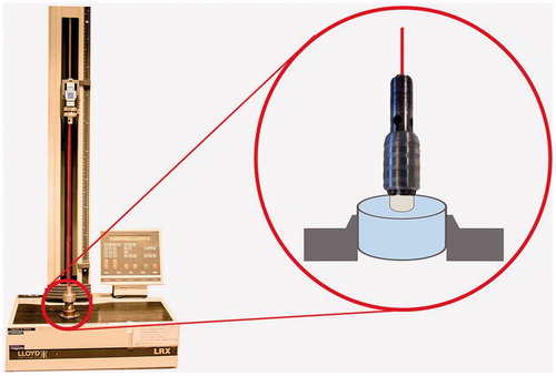 Figure 2. Experimental design of tensile bond strength test. A metallic jig enclosed the ceramic rod at the notch in the circumference for adequate grip. The rod was cemented onto the dentin surface of bovine tooth embedded in epoxy resin.