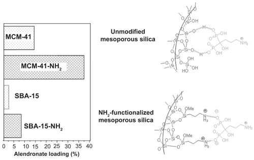 Figure 5 Alendronate adsorption on MCM-41 and SBA-15 mesoporous materials before and after functionalization with amino groups.