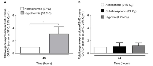 Figure 5 Expression of RBM3 mRNA in SK-N-SH after (A) 48 hours of moderate hypothermia compared to a normothermic control group and after (B) 24 hours of 0.2% O2 or 8% O2 oxygen tension compared to an atmospheric normoxic control group at 21% O2 (n=3–6, *p<0.05).