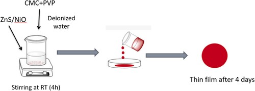 Figure 1. Preparation steps for doped CMC/PVP blend with ZnS and NiO nanoparticles.