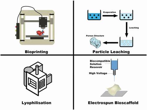 Figure 2. Depiction of the various methods for biofabrication available currently in research.
