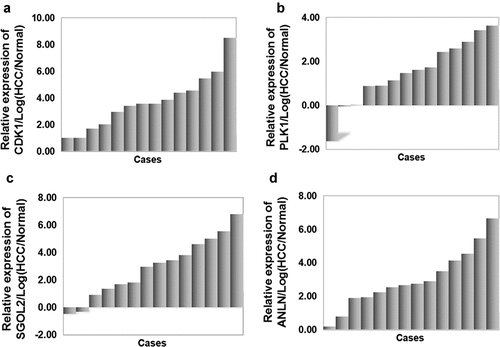 Figure 6. The relative mRNA level of four hub genes in HCC tissues and adjacent non-tumor tissues. (a) Up-regulation of CDK1 (log2(HCC/NT)>0) was detected in 100% (14/14) of primary HCCs, and (b) up-regulation of PLK1 was detected in 85.71% (12/14), (c) up-regulation of SGOL2 was detected in 85.71% (12/14), (d) up-regulation of ANLN was detected in 100% (14/14). The results showed that the expression level of CDK1, PLK1, SGOL2, and ANLN was distinctly higher in HCC tissues