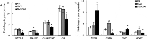 Figure 4. Effects of NaCl and NaHCO3 stress on gene expression of nitrogen assimilation (a) and glutamine/glutamine family of amino acids metabolism (b) in leaves of mulberry seedlings. Note: * indicates significant difference with CK.