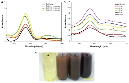 Figure 1 (A) Ultraviolet-visible-near infrared spectra of gold nanoparticles synthesized by exposing various amounts of Candida albicans cytosolic extract to a fixed volume (5 mL) of HAuCl4 solution (10−3 M), keeping the final volume (10 mL) of reaction mixture for 24 hours. (B) Representative ultraviolet-visible-near infrared spectra depicting kinetics of the reaction of 1 mL of C. albicans cytosolic extract with 10 mL of aqueous HAuCl4 solution for specified time periods. The incubation mixture was scanned in the ultraviolet range to analyze characteristic peaks. (C) Color development as a function of surface plasmon resonance in C. albicans cytosolic extract-mediated synthesis of gold nanoparticles. (a) HAuCl4 aqueous solution, (b) Incubation of 5 mL of HAuCl4 aqueous solution with 1 mL of C. albicans cytosolic extract keeping the final volume of reaction mixture at 10 mL, (c) Incubation of HAuCl4 aqueous solution (5 mL) with 3 mL of C. albicans cytosolic extract, making the final volume of reaction mixture 10 mL by adding 2 mL of deionized water, (d) 5 mL of C. albicans cytosolic extract incubated with 5 mL of aqueous HAuCl4 solution.