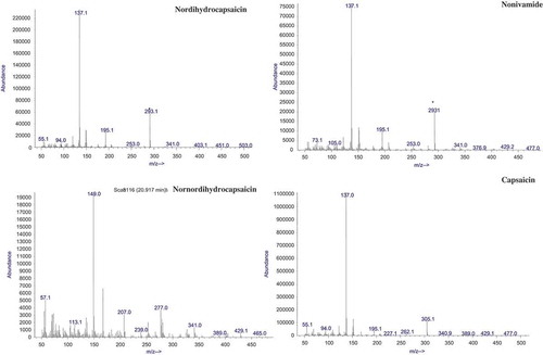 FIGURE 3 EI-mass spectra of major and minor capsaicinoids present in chili sample.