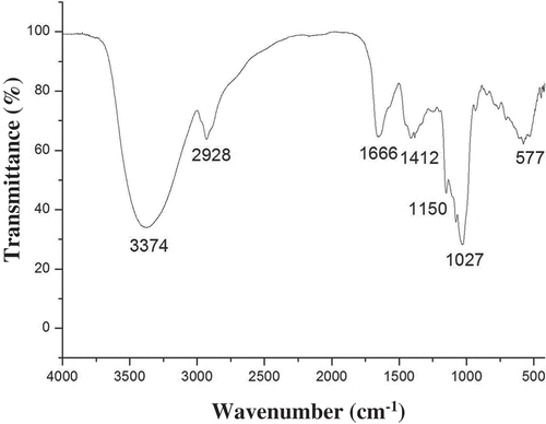 Figure 1. The FT-IR spectrum of WBP isolated from wheat bran.