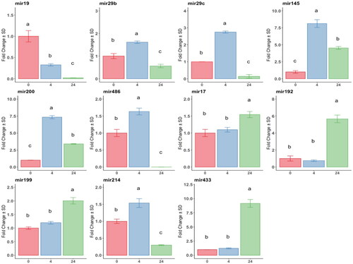 Figure 1. Analysis by RT-qPCR of anti and pro-fibrotic miRNAs relative gene expression in at-MSC preconditioned with TGFβ-1 at time points 0h: red bars; 4h: blue bars; 24h hours: green bars.Y-axes: fold change of the relative expression, the error bar is the standard deviation. Different letters indicate statistically significant differences between groups (p < 0.05). Three replicates per treatment. Housekeeping: SNORD43.