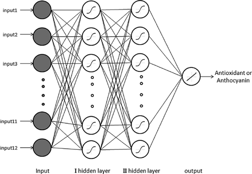 Figure 2 Architecture of the used artificial neural networks for (a) anthocyanin content and (b) antioxidant activity.